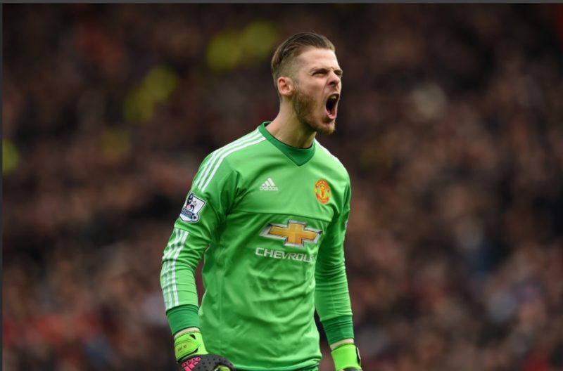 David de Gea, tấm khiên trong khung thành