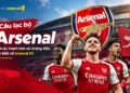 cau-lac-bo-arsenal-lich-su-thanh-tich-va-nhung-dieu-can-biet-ve-arsenal-fc
